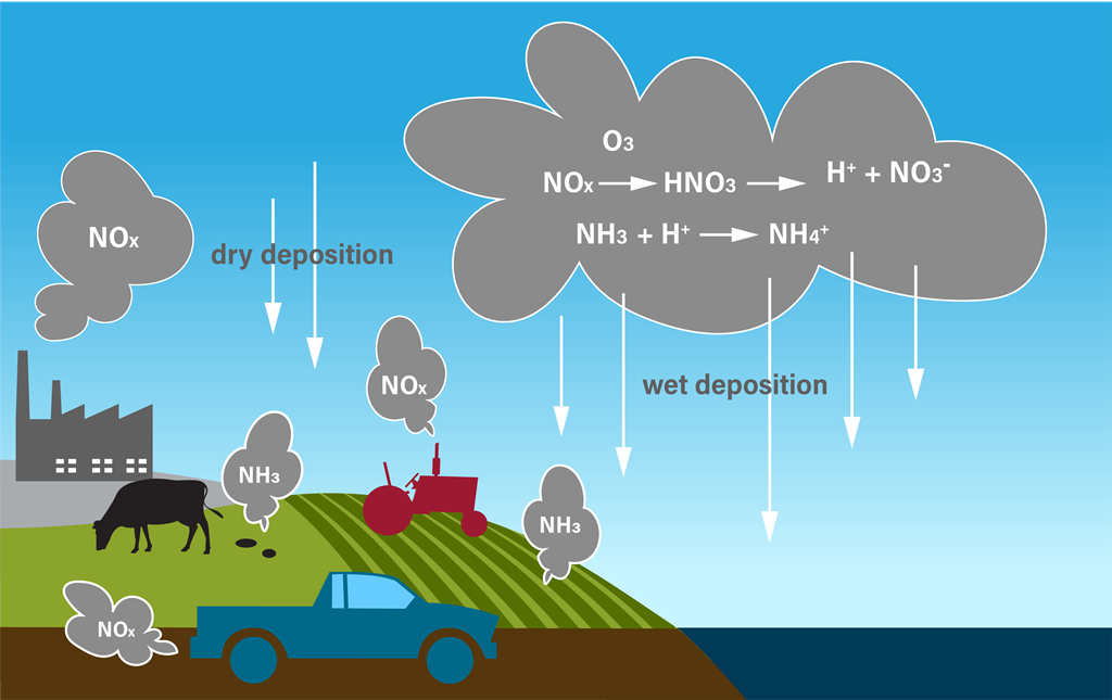 5.1 atmospheric deposition CREDIT Gulf Coast Community Foundation